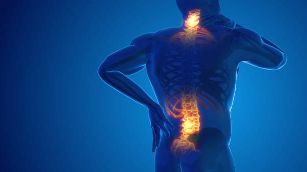 Effective Home Physiotherapy for Alleviating Back Pain